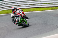 PJ-Motorsport-2019;anglesey;brands-hatch;cadwell-park;croft;donington-park;enduro-digital-images;event-digital-images;eventdigitalimages;mallory;no-limits;oulton-park;peter-wileman-photography;racing-digital-images;silverstone;snetterton;trackday-digital-images;trackday-photos;vmcc-banbury-run;welsh-2-day-enduro